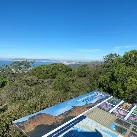 Апартаменты That Place For U - Blue House