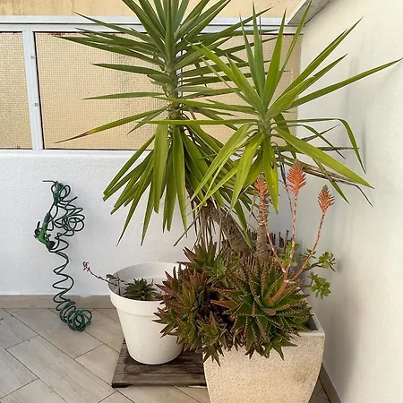 That Place For U - Blue House *