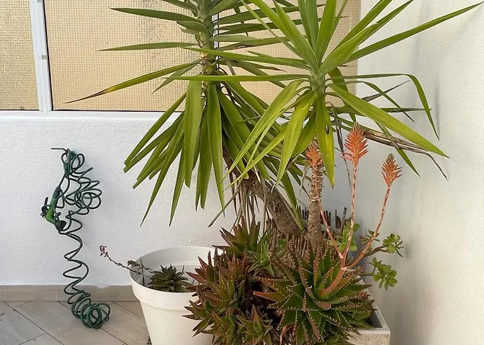 That Place For U - Blue House *